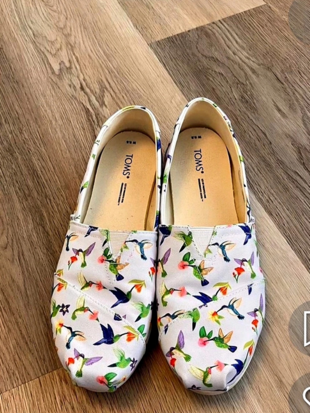 TOMS Classic Alpargata Hummingbird Print Floral Espadrilles